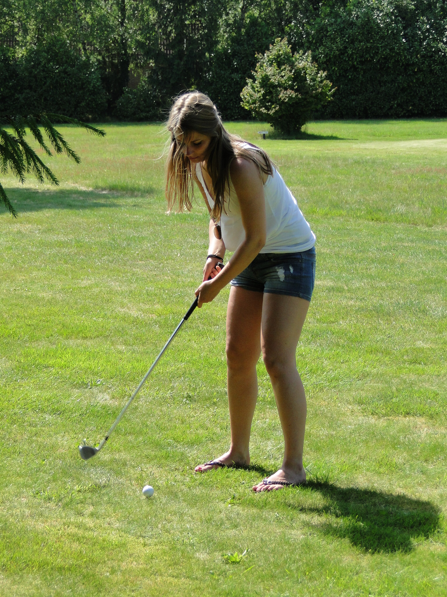 2011HWK 090.jpg